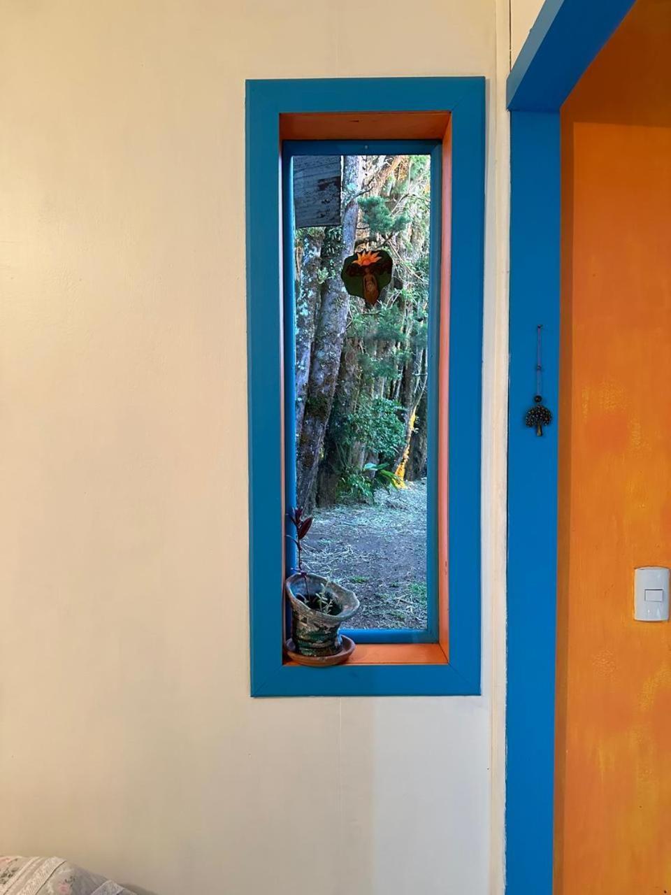 Apartamento ArteSAna Monteverde Esterno foto