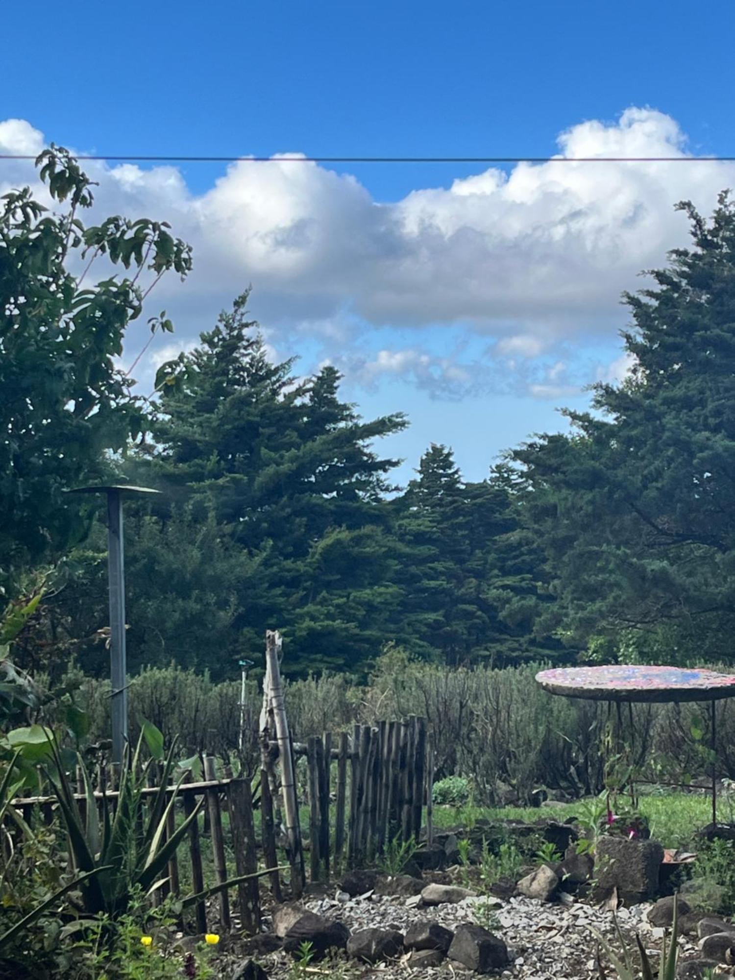 Apartamento ArteSAna Monteverde Esterno foto